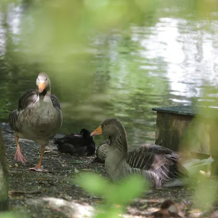 In Quend-plage Near *