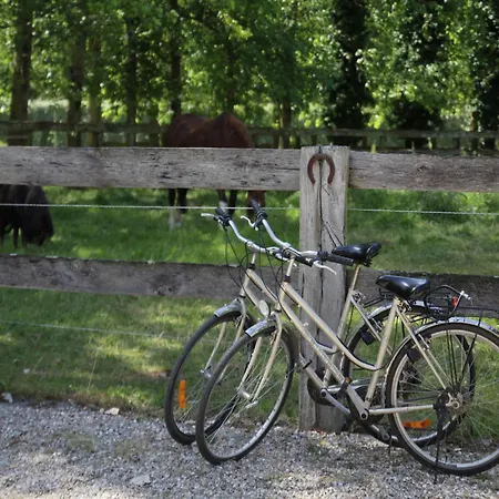 Semesterbostad In Quend-plage Near *